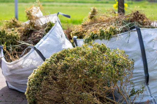 Best Construction Debris Removal  in Morton, IL